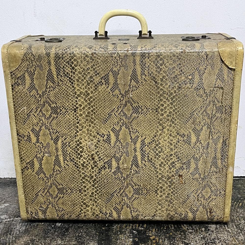 70s ヴィンテージ パイソン柄 トランク/ヘビ柄蛇柄スーツケースアンティーク