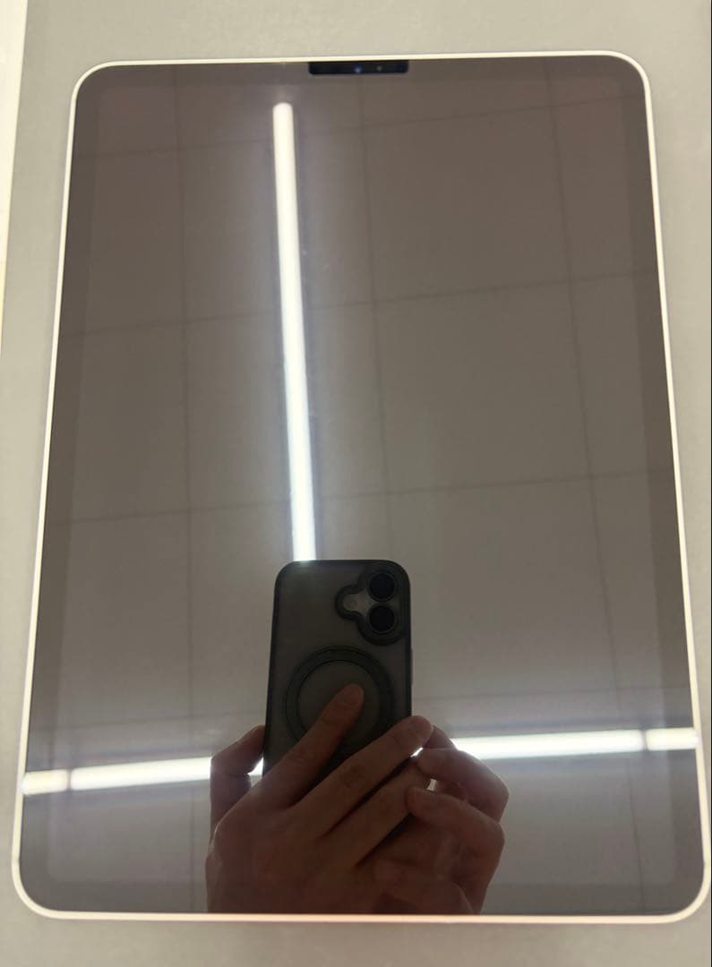 iPad Pro11インチ2世代 256GB Cellularモデル