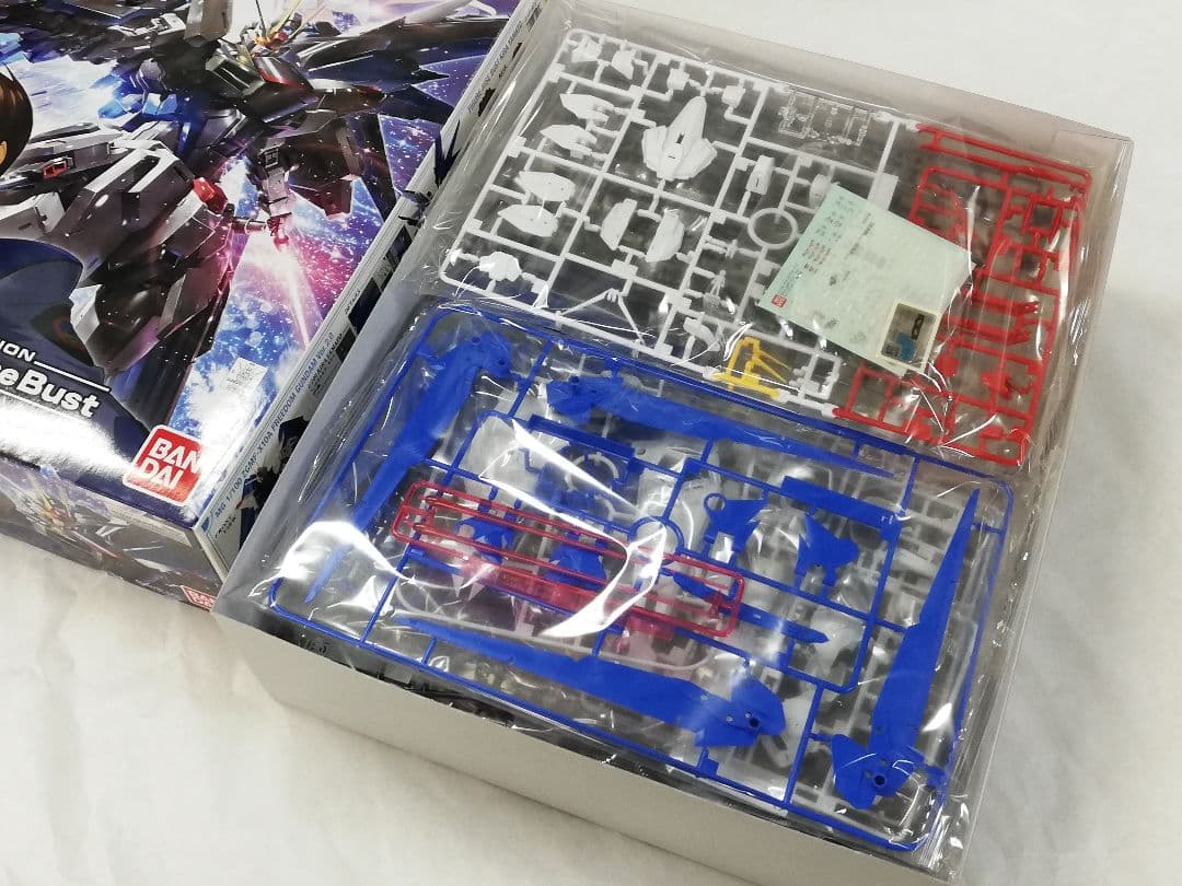 MG 1/100 フリーダムガンダム ver.2.0 & キラ・ヤマト