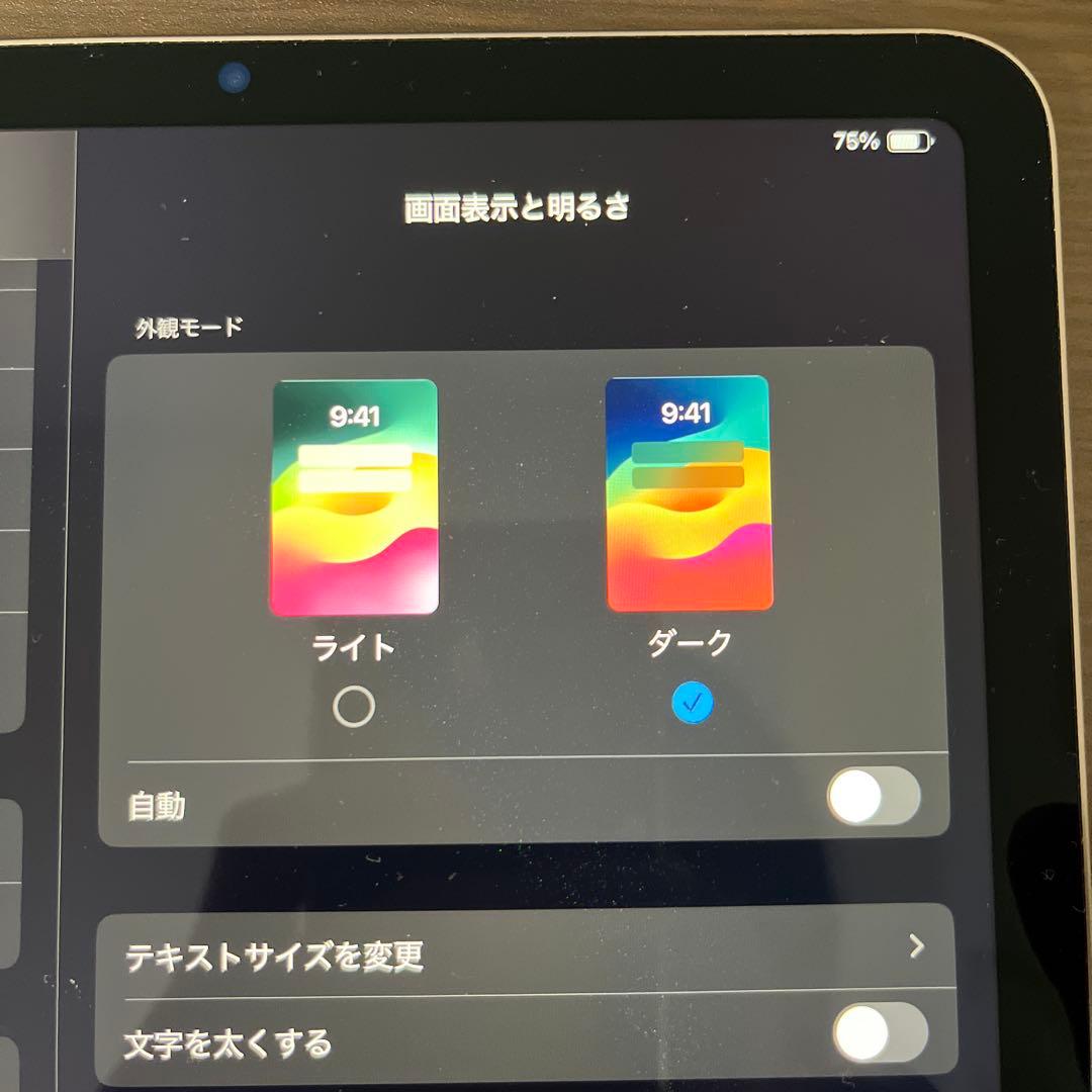 iPadAir 256GB 第5世代