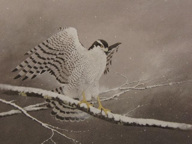 石田武、【生生】、希少な額装用画集より、新品額装付、状態良好