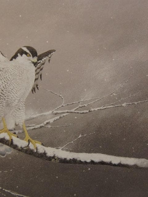 石田武、【生生】、希少な額装用画集より、新品額装付、状態良好