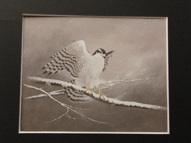 石田武、【生生】、希少な額装用画集より、新品額装付、状態良好