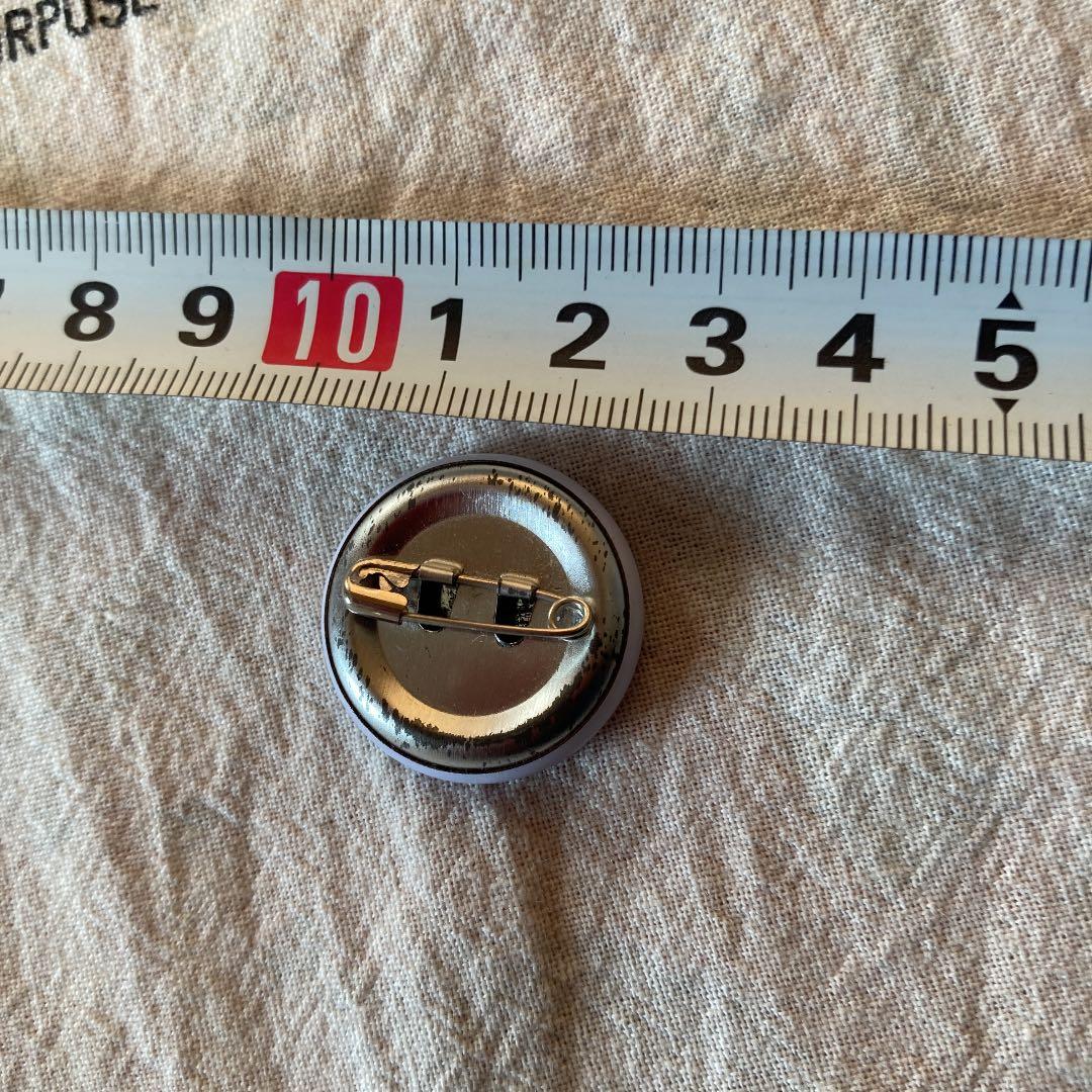 ape エイプ　缶バッジ　カバ