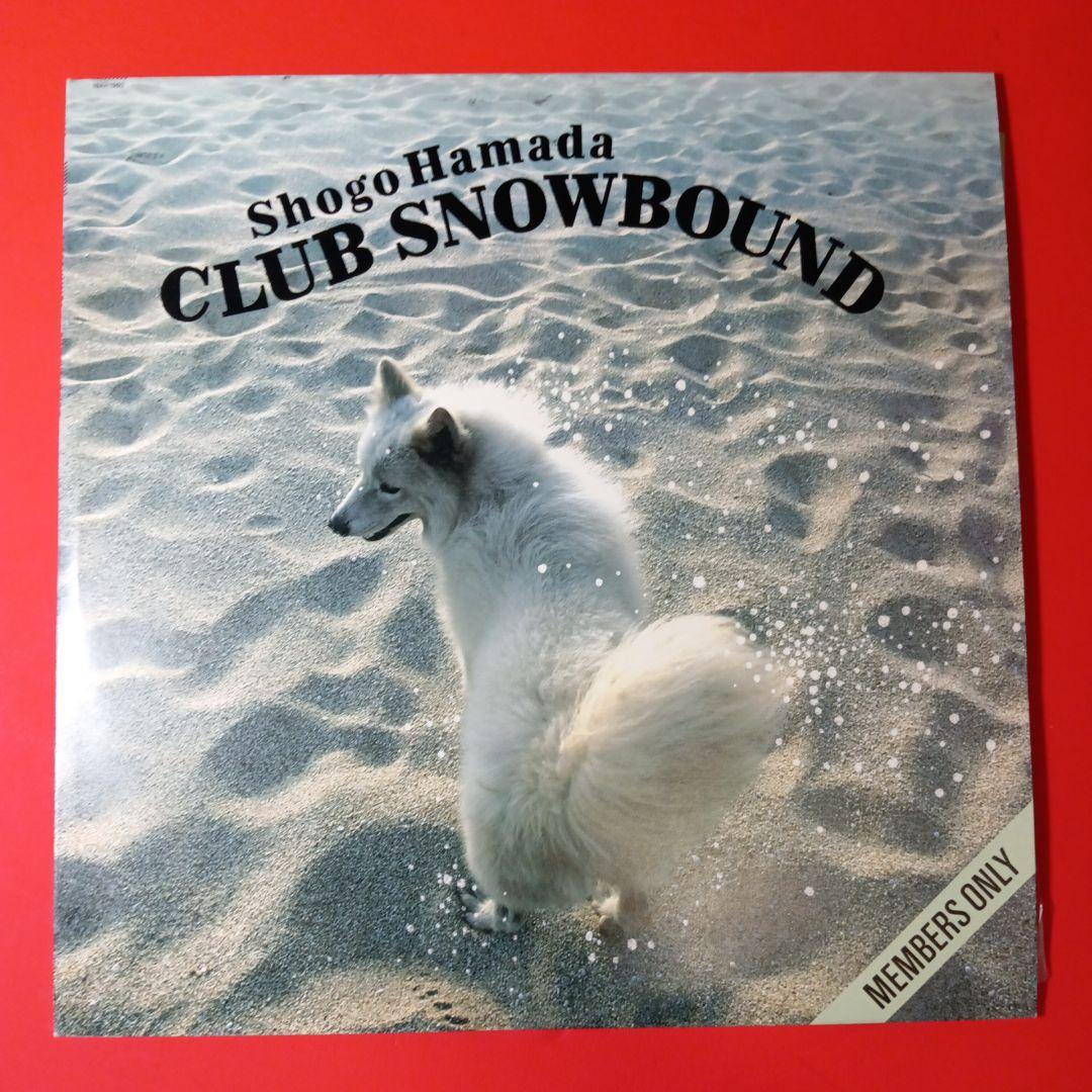 浜田省吾　LP レコード　10枚セット　まとめ売り