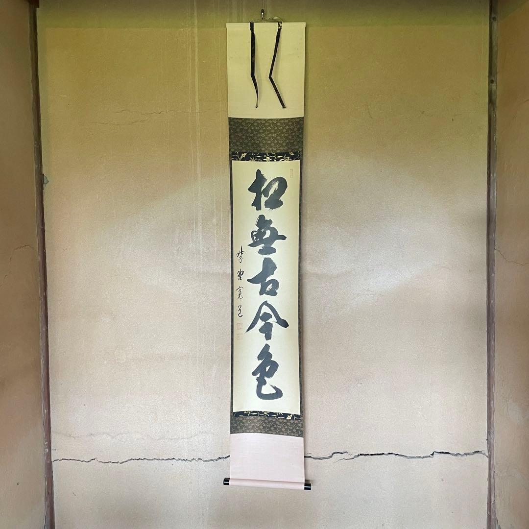 藤田寛道　紫野寛道　掛軸　「松無古今色」　茶掛　禅語　共箱付き　25.8.8−2