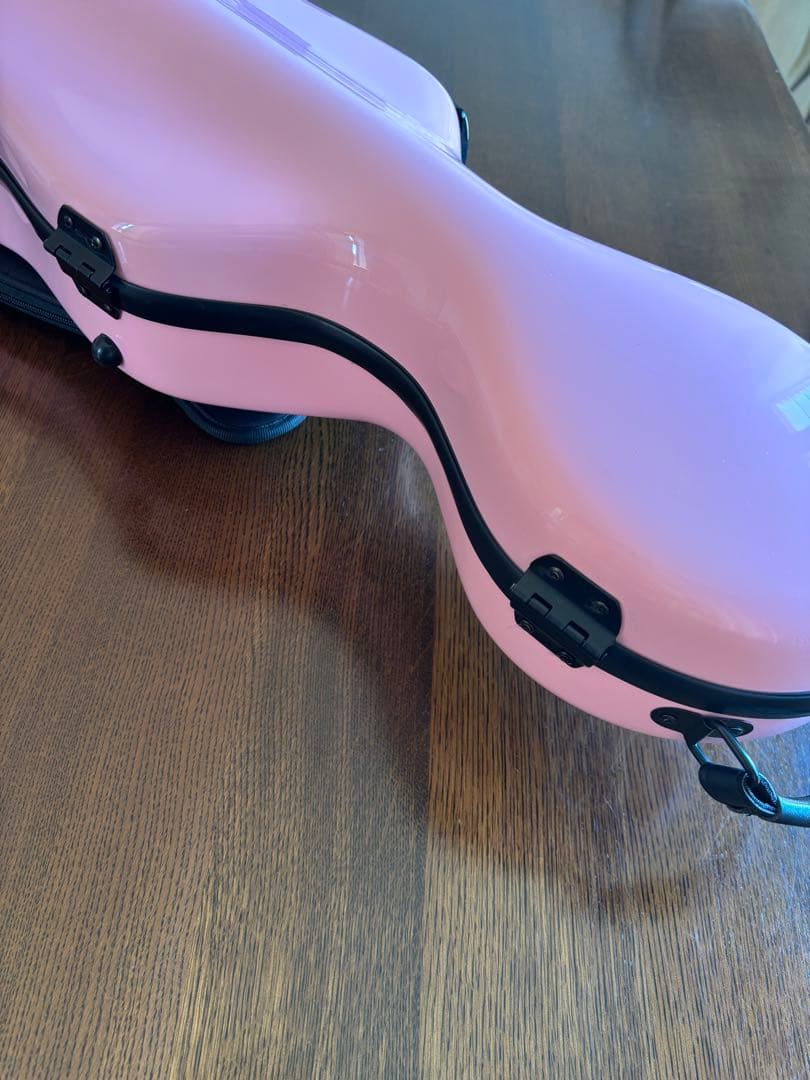 Fiumebianca バイオリンケースとBella Armonia バイオリン