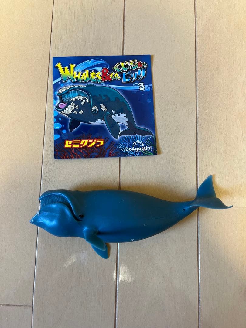 ディアゴスティーニ　くじら&co. アンドコー　11点セット