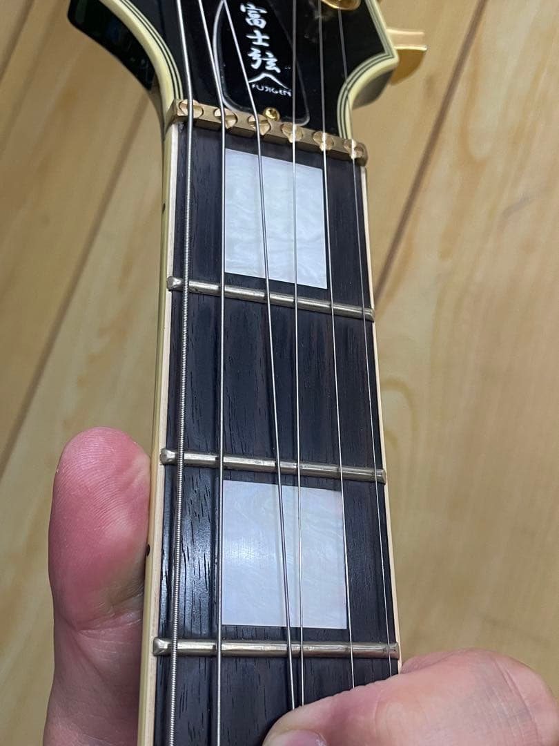 FUJIGEN レスポール　NLC100