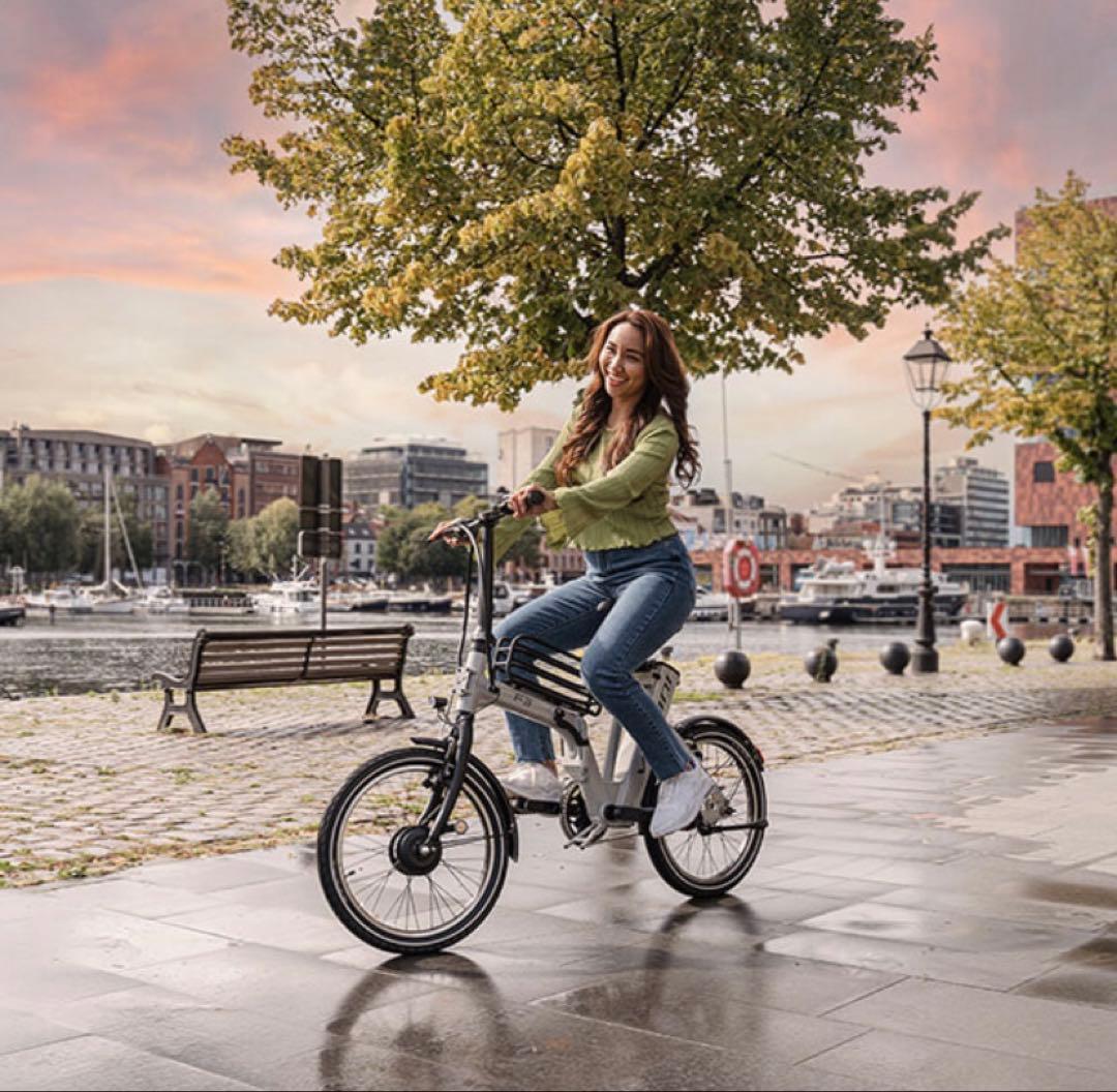 にゃた　BESV F3 電動アシスト折り畳み20インチモデル ライトグレー