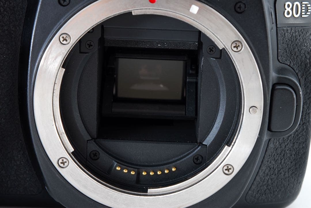 Canon EOS 80D標準&望遠&単焦点トリプルレンズセット、