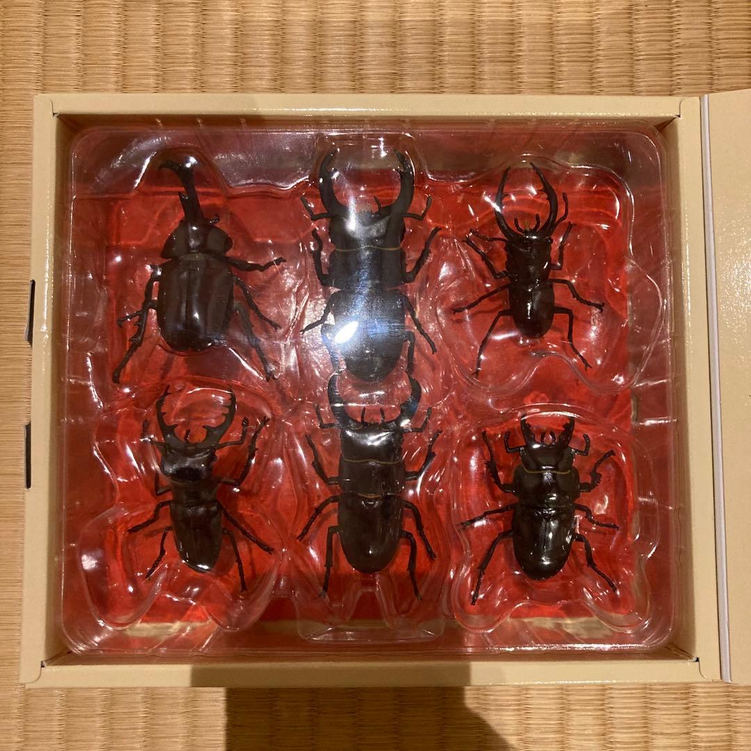 原色昆虫類甲虫図鑑 YUJIN