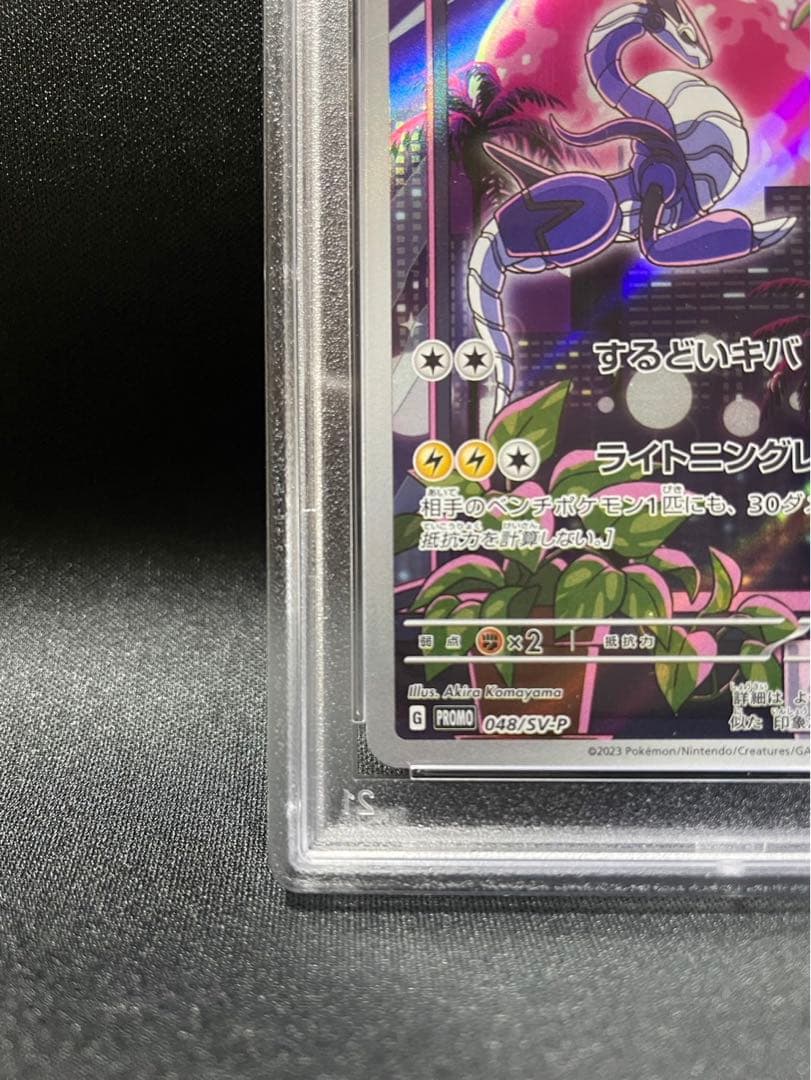 ミライドン　シールド戦　プロモ　psa10