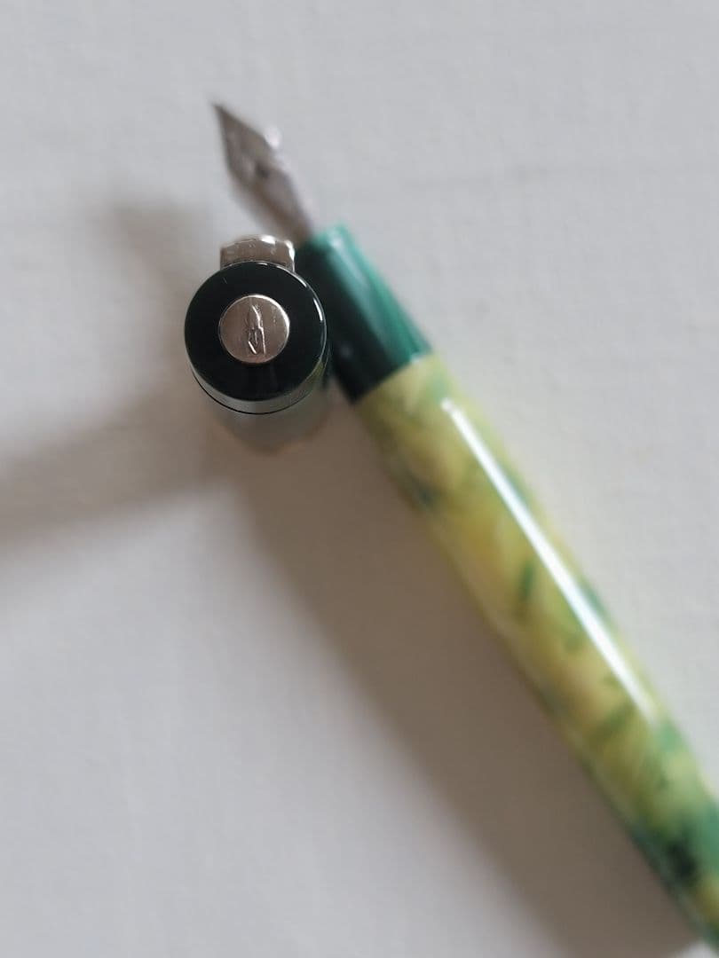 ❁⃘*.゜ デルタ 万年筆 レ・スタジオーニ プリマベーラ used美品