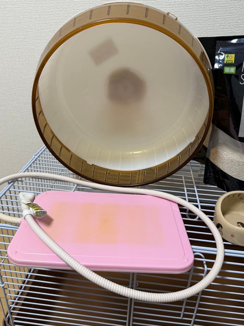 ハリネズミ　飼育セット