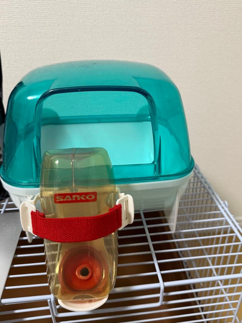 ハリネズミ　飼育セット