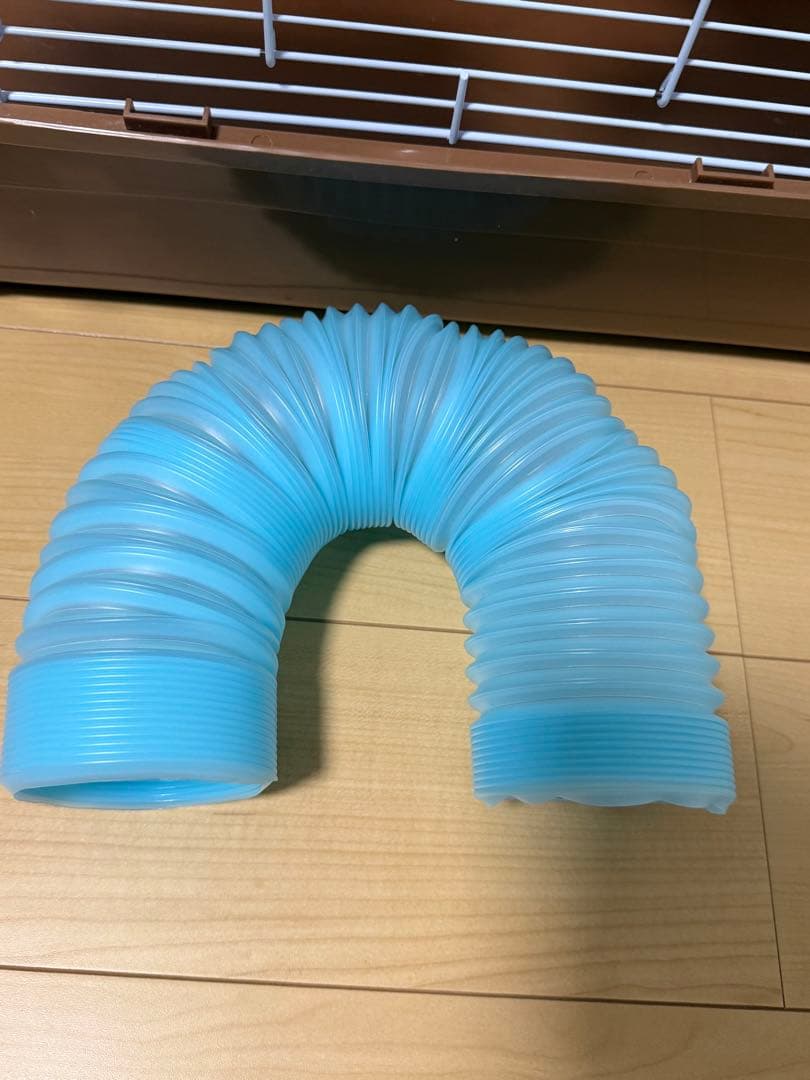 ハリネズミ　飼育セット