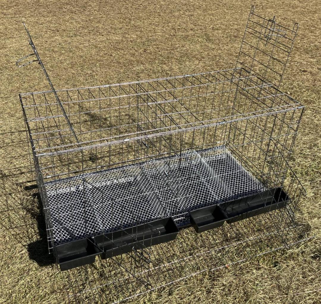 大型鳥かご　烏骨鶏　鶏　バードケージ　鳥籠