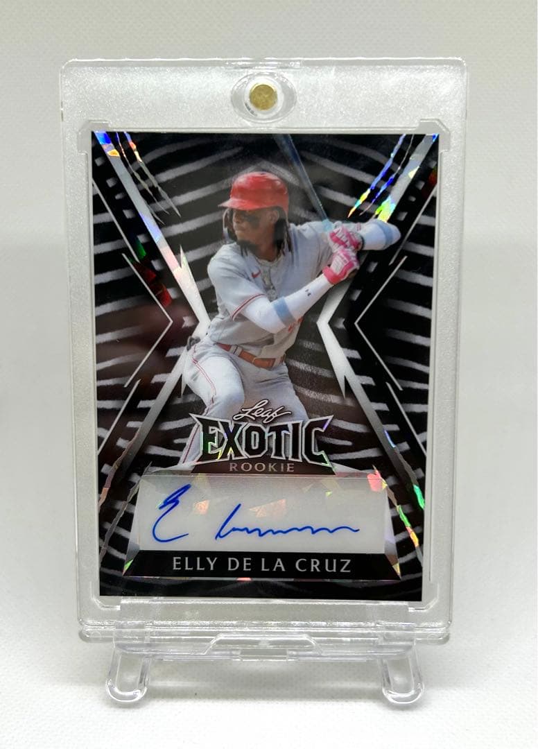 【４枚限定】ELLY DE LA CRUZ AUTO エリーデラクルーズ