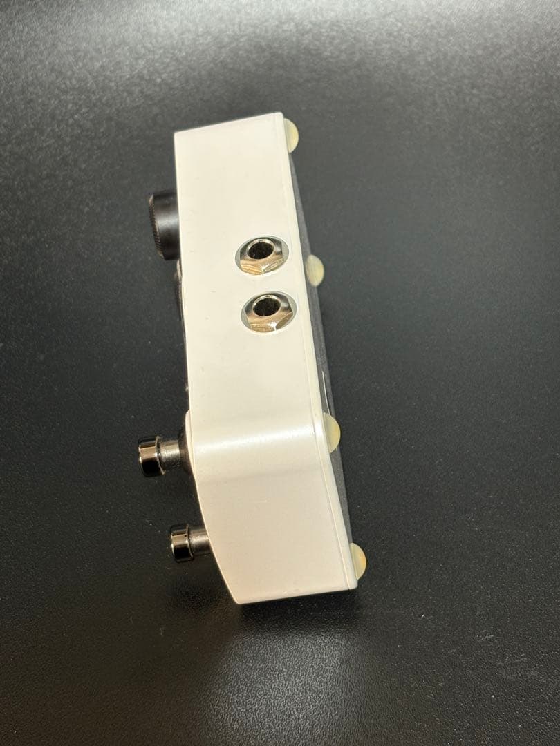 MOOER GL100 ルーパー