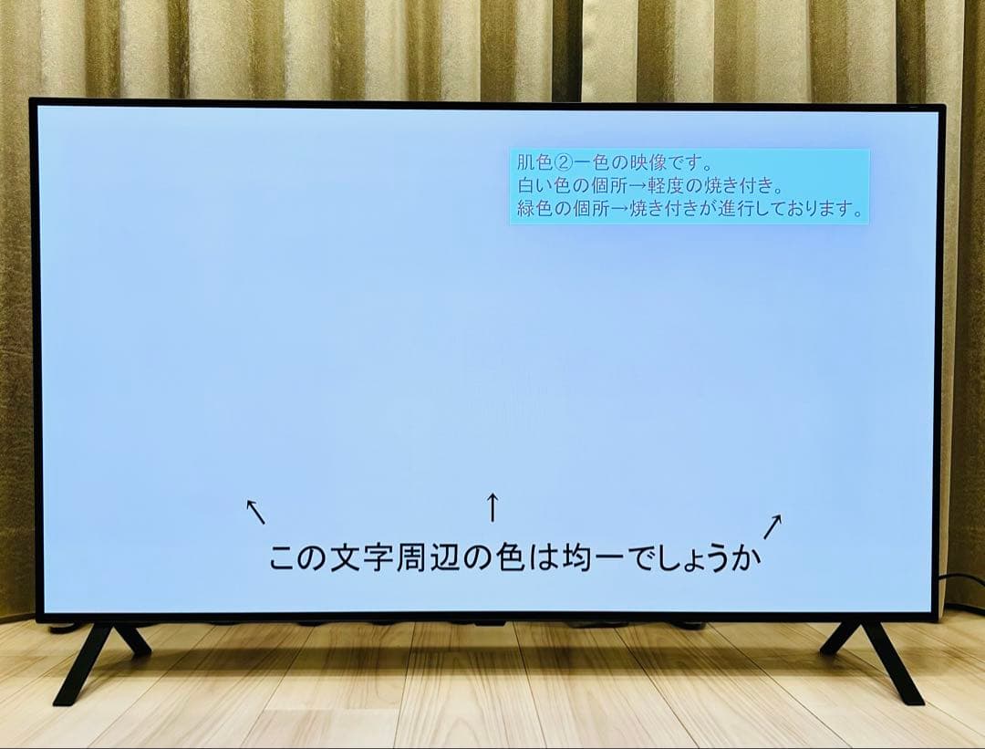 LG 48型 2022年製 Alexa搭載 OLED48A2PJA 4K有機EL