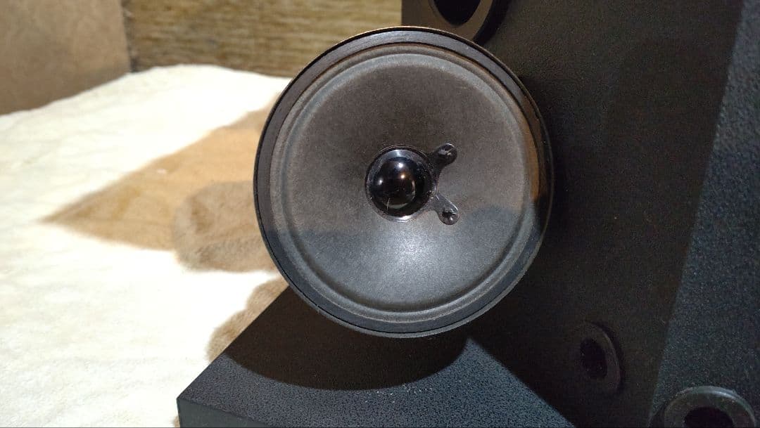 BOSE ボーズ 301 モニターⅡ　スピーカー　左右セット