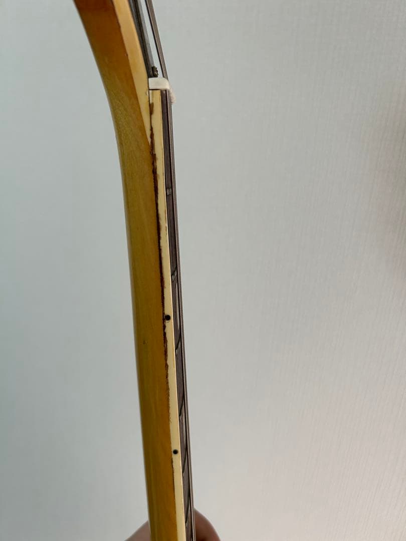 Guyatone SG-28T ジャパンヴィンテージ