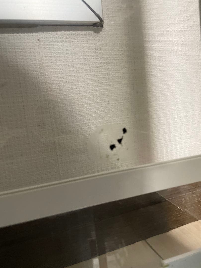 爬虫類・小動物飼育用組み立て式ガラスケース　PANTHEON　パンテオン