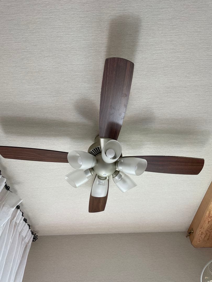 大光電機シーリングファン 電球色2700K