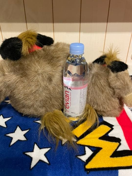 サンライク＊ケンケンぬいぐるみ×2