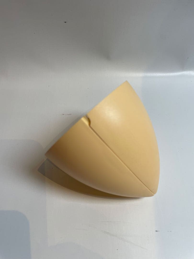 フリッツハンセン/FRITZ HANSEN / Caravaggio P1