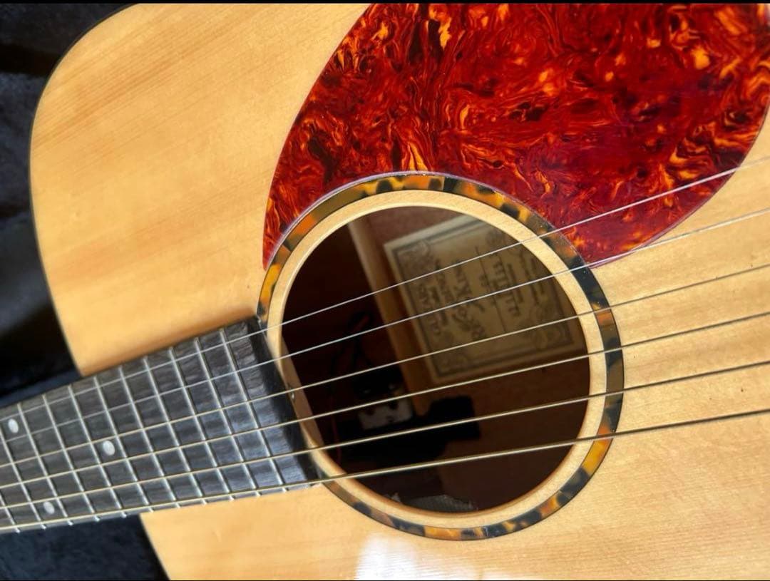 P.U、セミハードケース付き　RECORDINGKING RO-G6 used