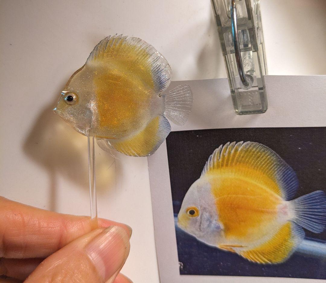 確認用　ゴールデンマルボロレッド