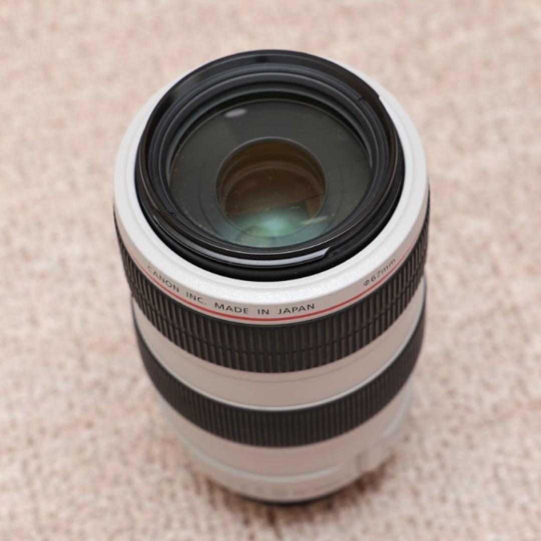 レンズ(ズーム) Canon EF70-300mm F4-5.6L IS USM