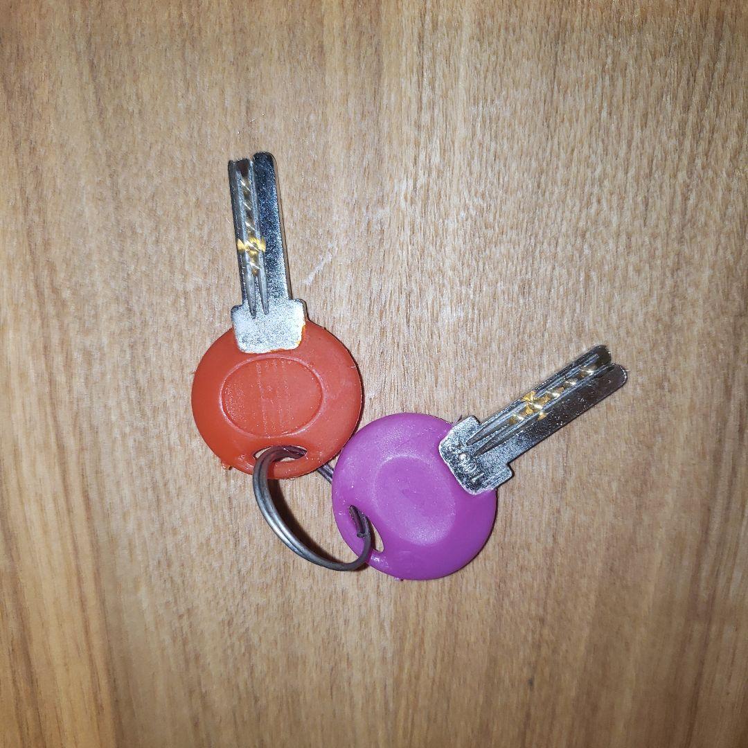 BRIDGESTONE Wild Berry 22\"子供用 【室内保管・直渡し】