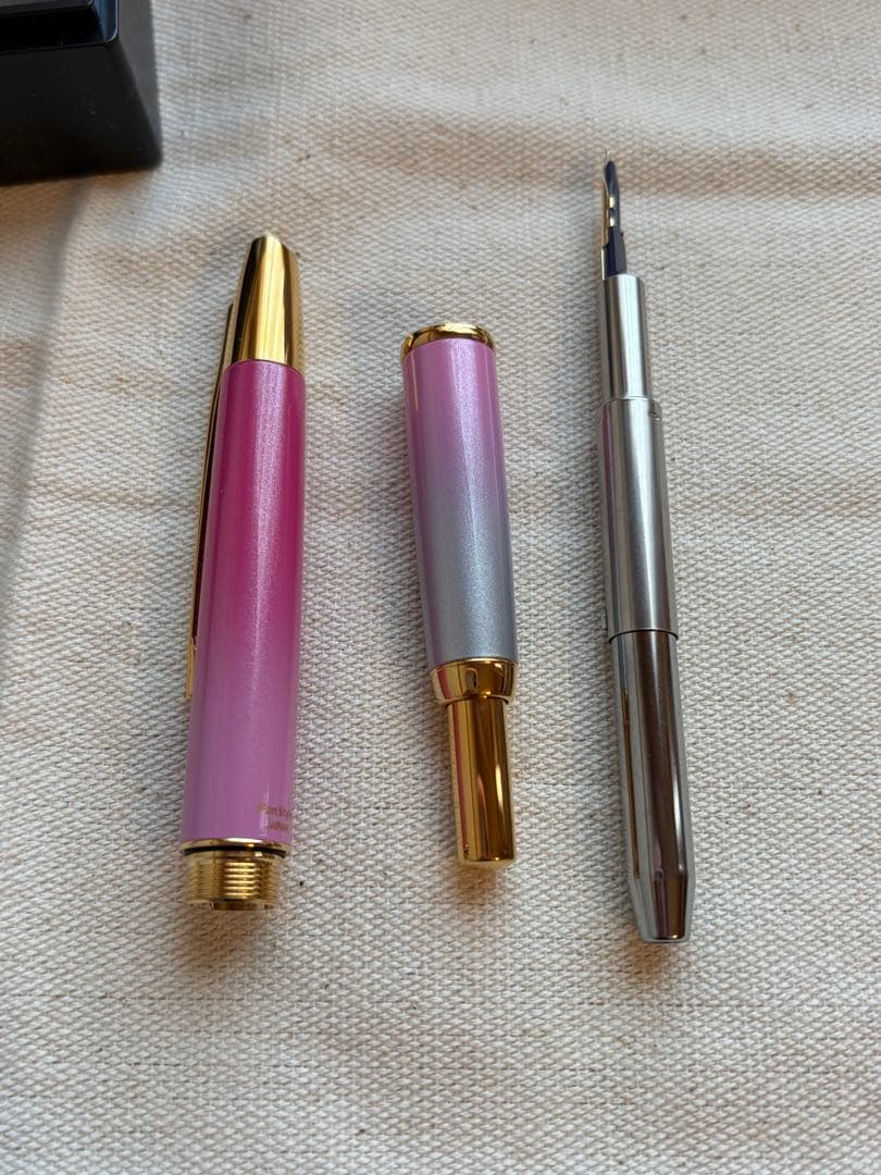 お値下げ不可 ナガサワ 万年筆 キャップレスデシモ 雪御所ザクラ F ゴールド