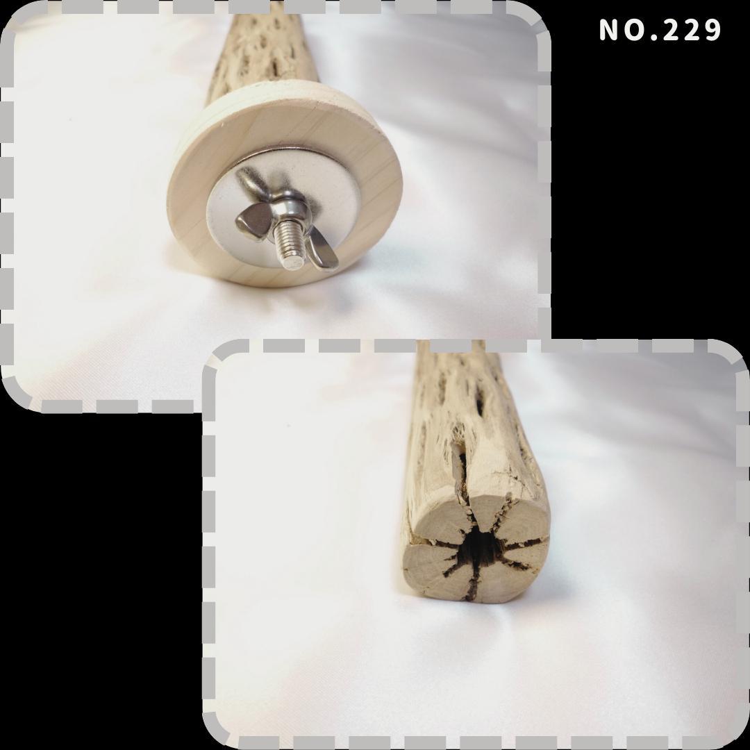 maona　鳥用品　止まり木　カクタス　スケルトン　パーチ　2本おまとめ