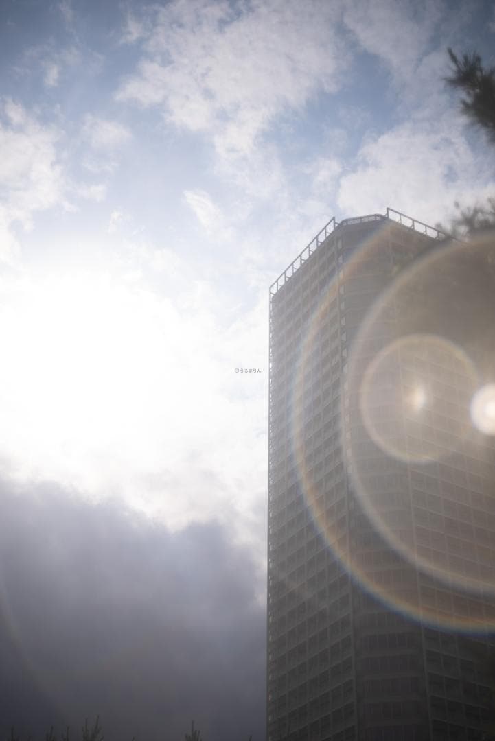 N O Go様虹の出る癖玉！Leica Summar 50mm f2