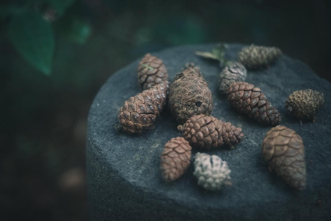 N O Go様虹の出る癖玉！Leica Summar 50mm f2