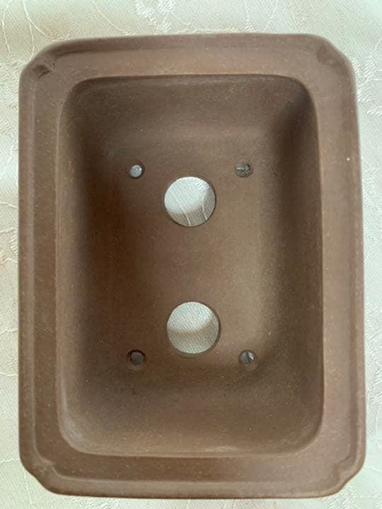 銭号　盆栽鉢　長方