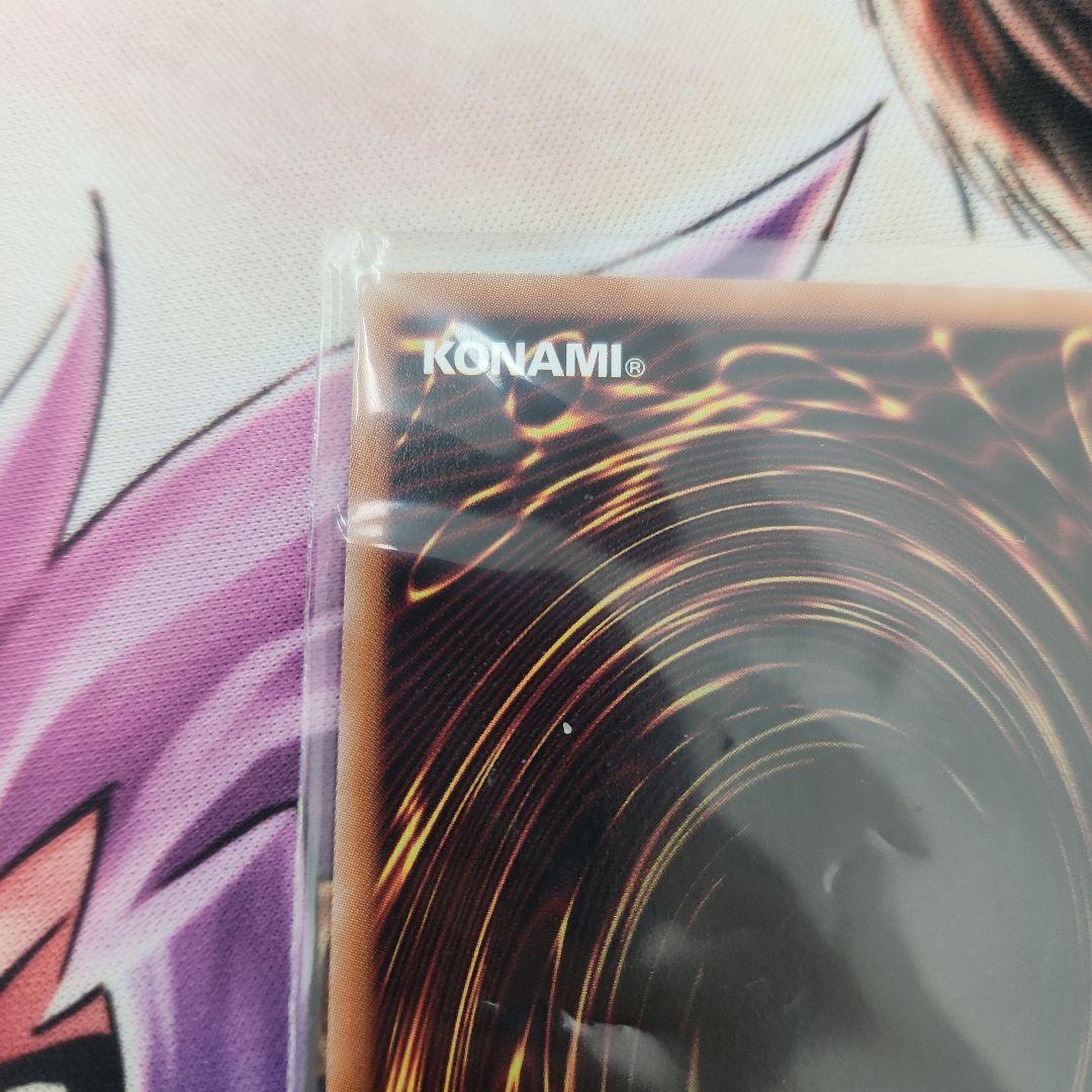 白き竜の落胤 プリズマ