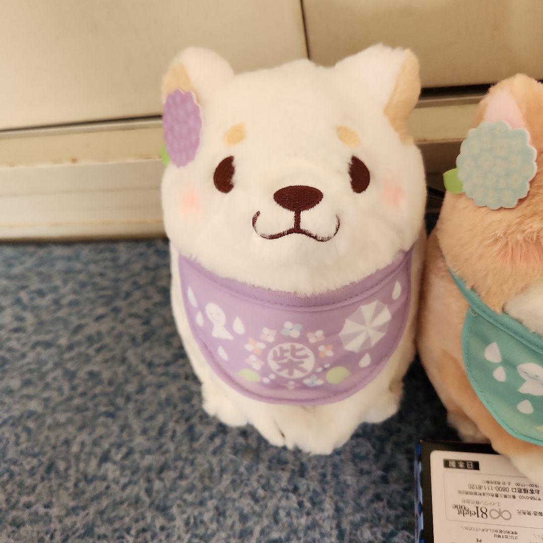 忠犬もちしばぬいぐるみ3個セット