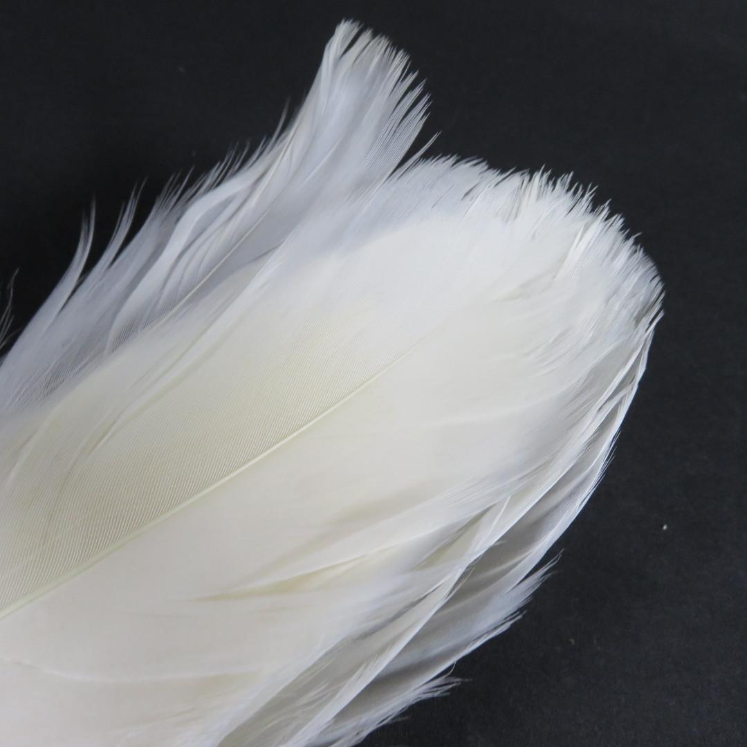 羽箒 羽根 ほうき 白鳥 茶道具 紙箱