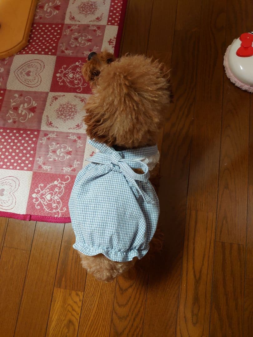 犬服 ハンドメイド ワンピース ギンガムレッド