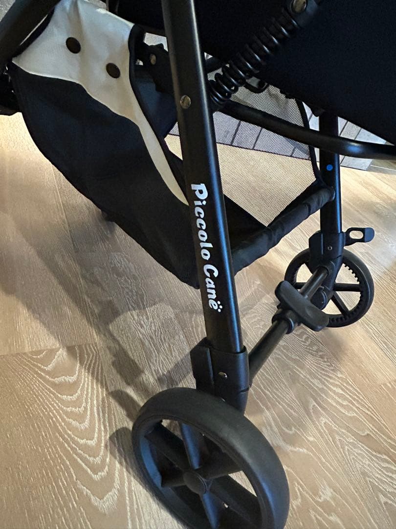 ピッコロカーネ リオナ2 piccolocane liona LIONA2