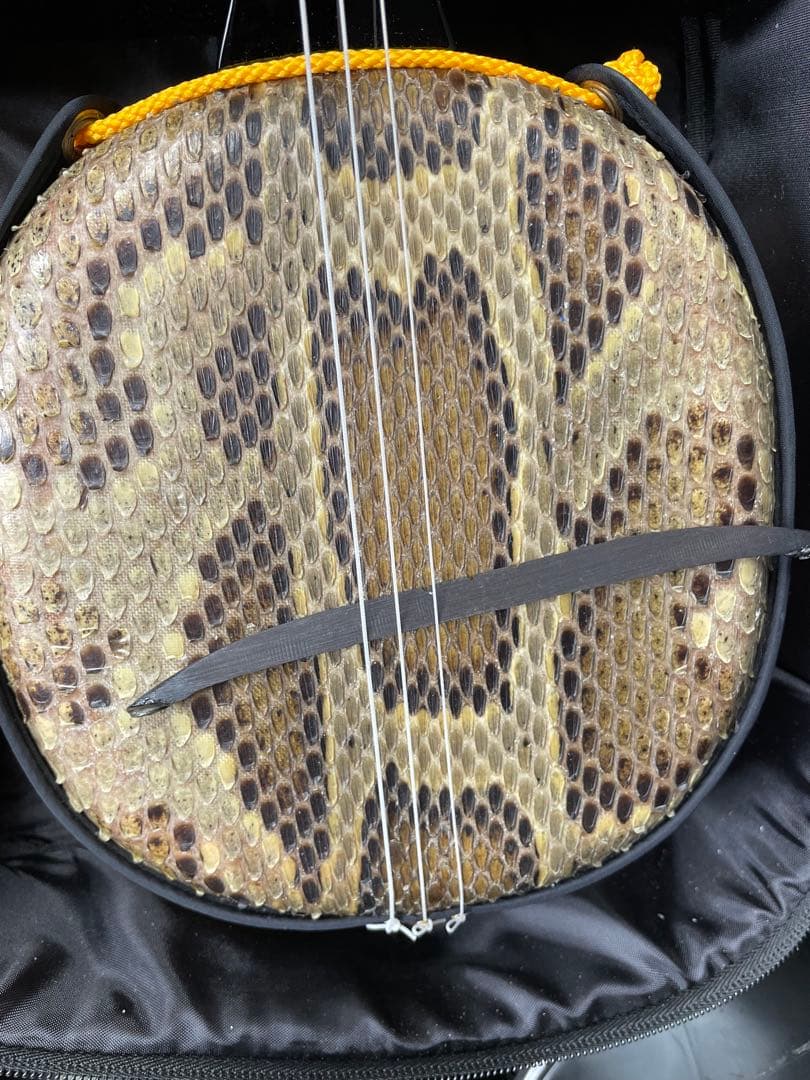 ヘビ皮製三線 3弦 専用ケース付き