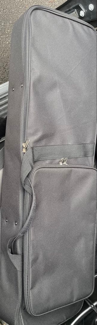 ヘビ皮製三線 3弦 専用ケース付き