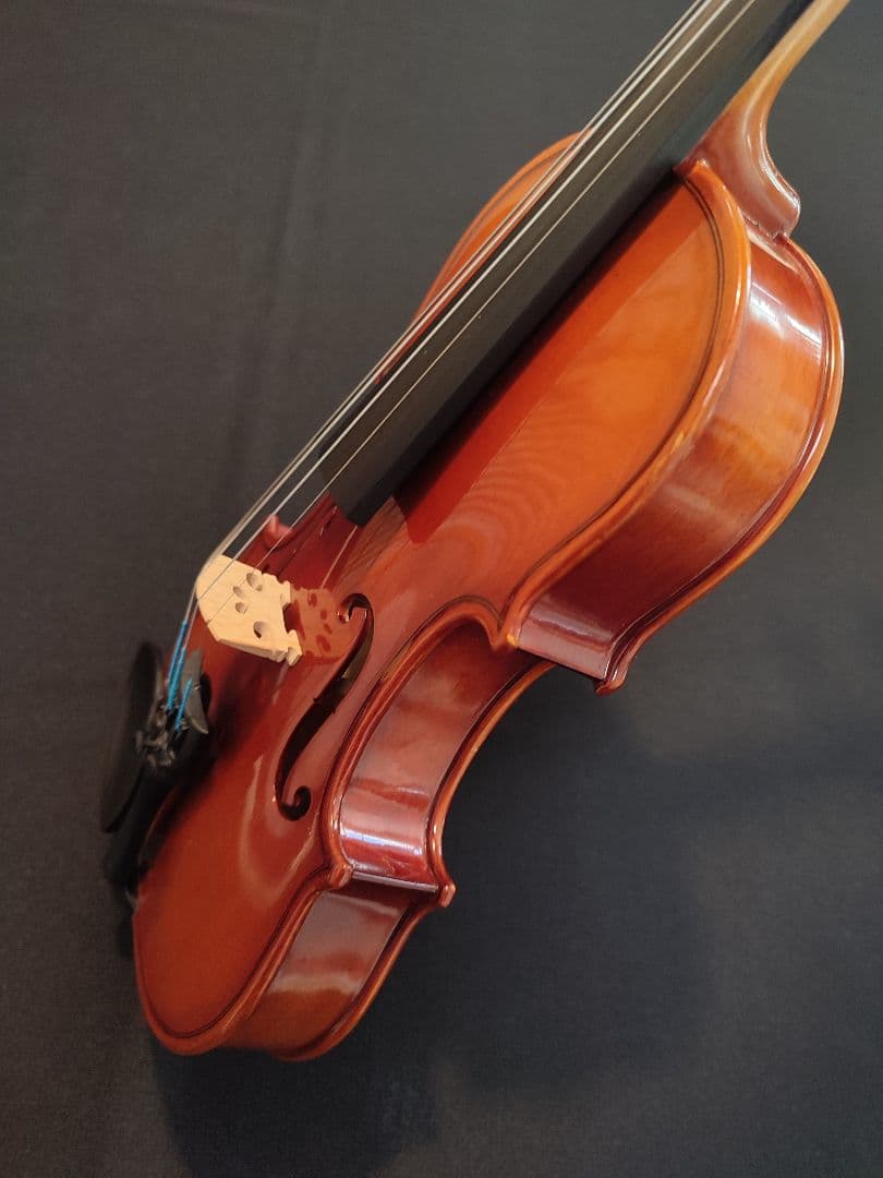 スズキバイオリン 1/10 No.230 弦新品・杉藤弓・ケース・松脂付き