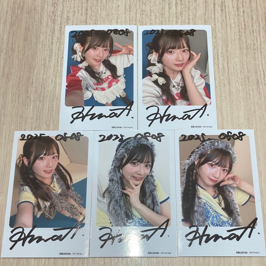 チェキ風フォトカード 青木陽菜 直筆サイン 5種フルコンプセット