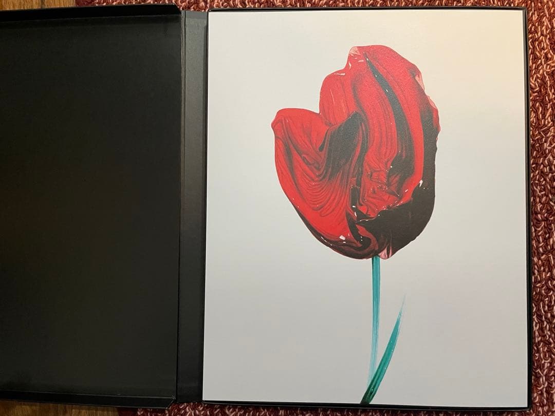 FLOWERS 武田鉄平 作品集 限定特装版セット シリアルNo.&サイン入り